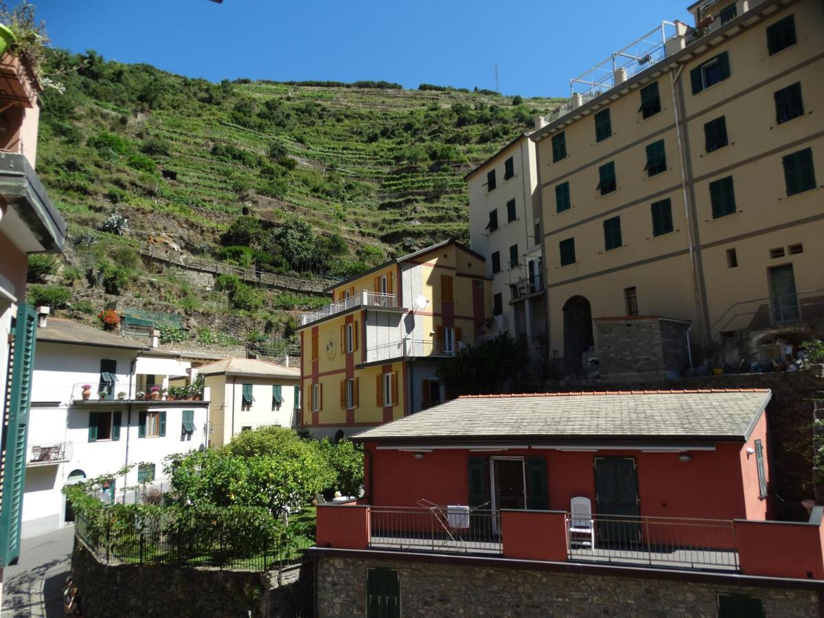 Irma Colua Manarola